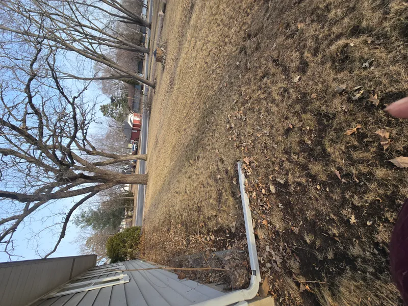 Outdoor debris and yard waste ready for hauling in Minneapolis