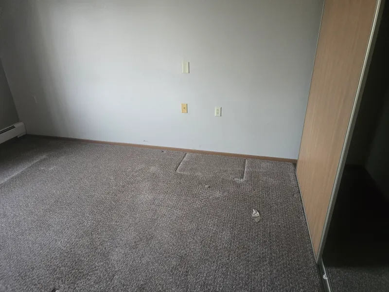 Yard waste removal — large brush pile cleared from property