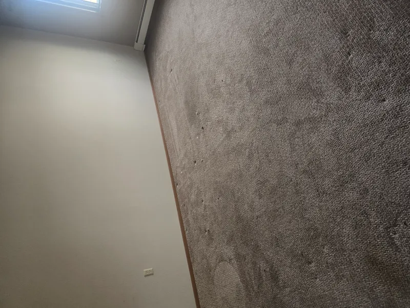 Tree branches and yard debris hauled during cleanup