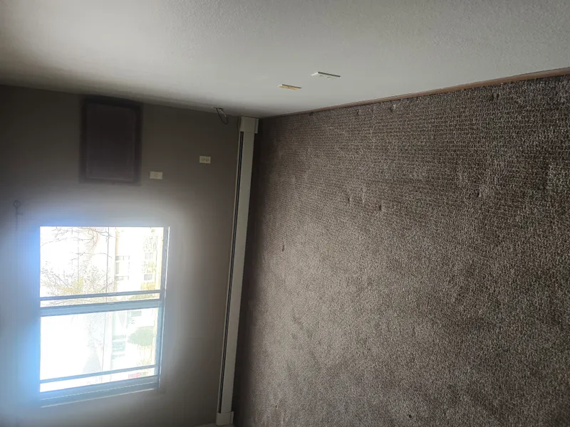 Outdoor junk and yard waste removal job completed